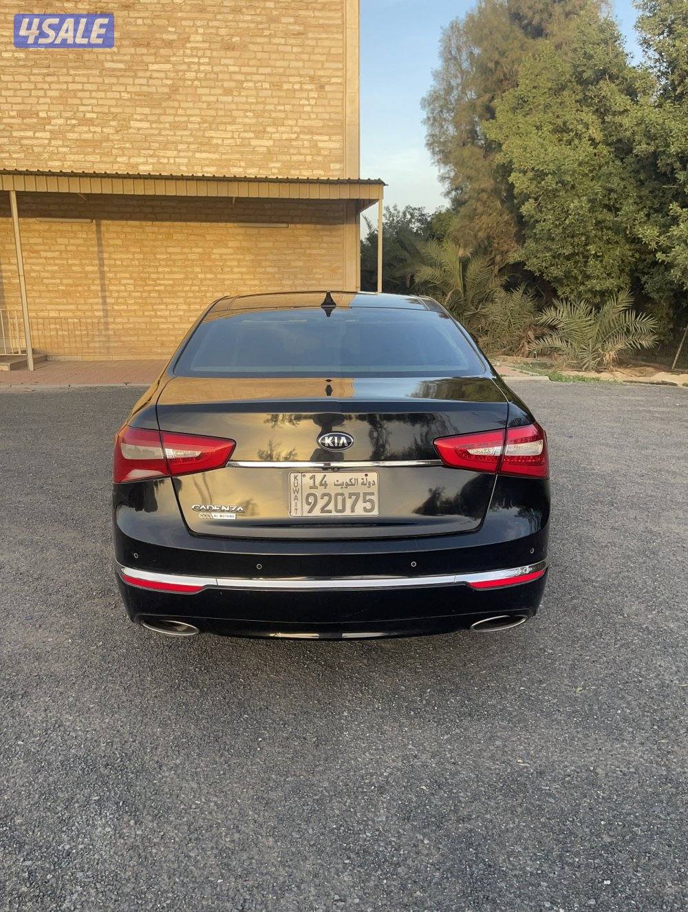 للبيع كادينزا 20161