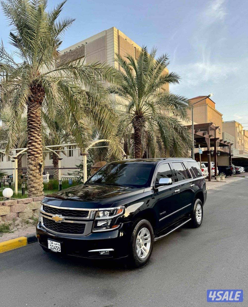 تاهو الغانم0