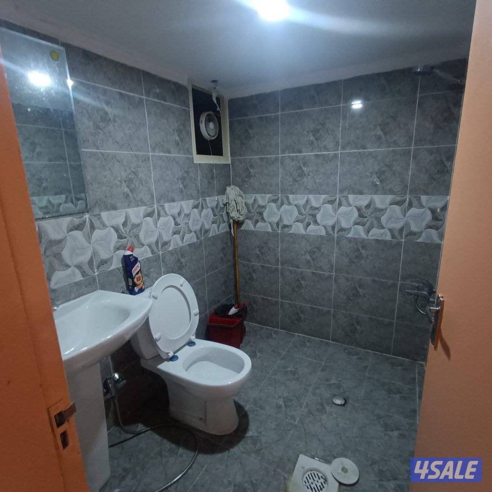 شقق للإيجار5