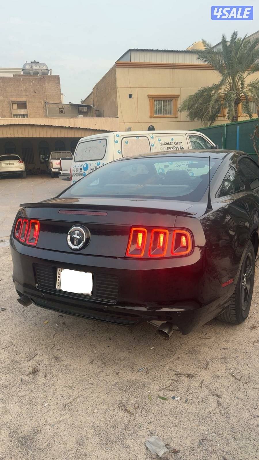 للبيع موستانج1