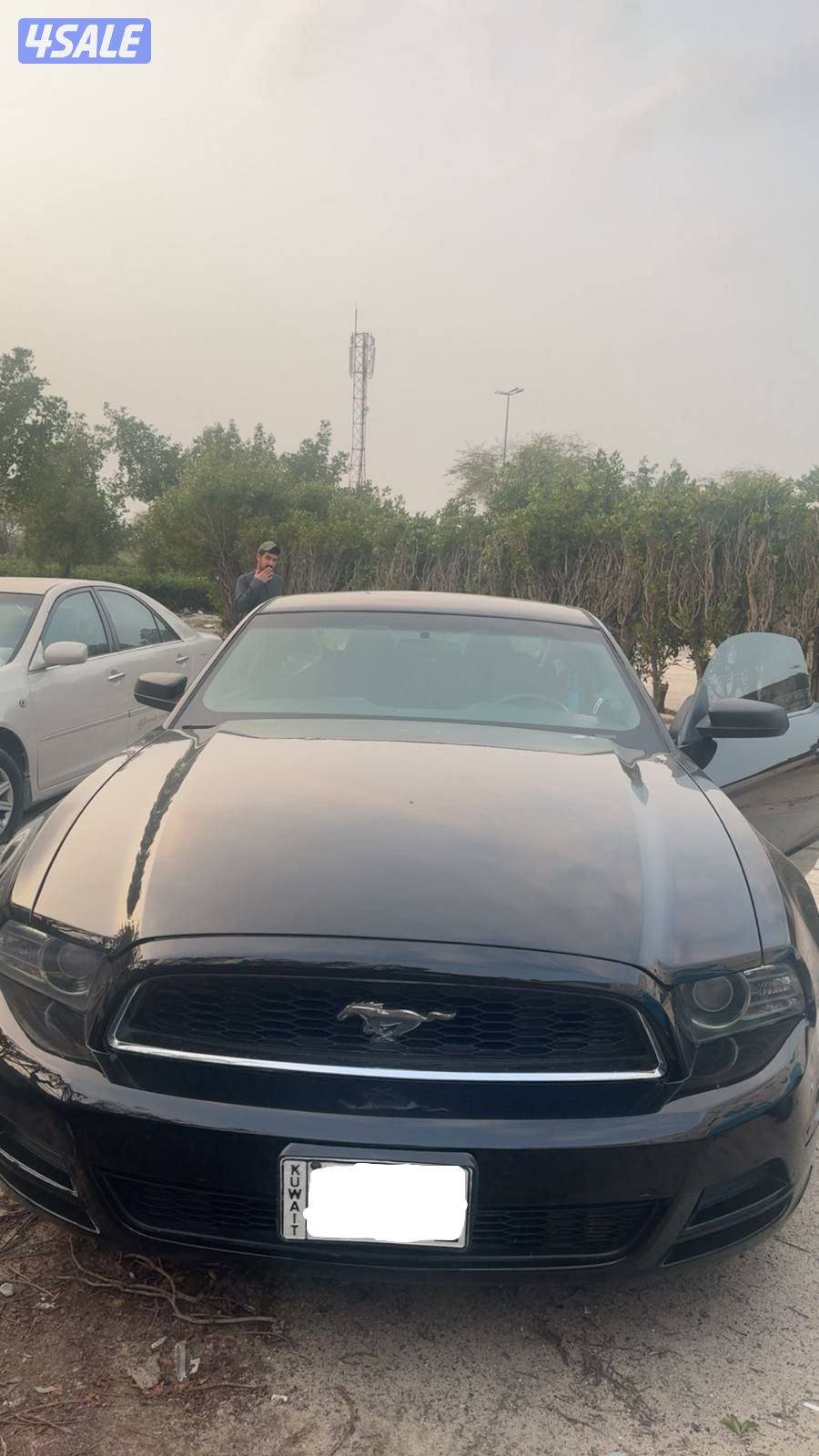 للبيع موستانج3
