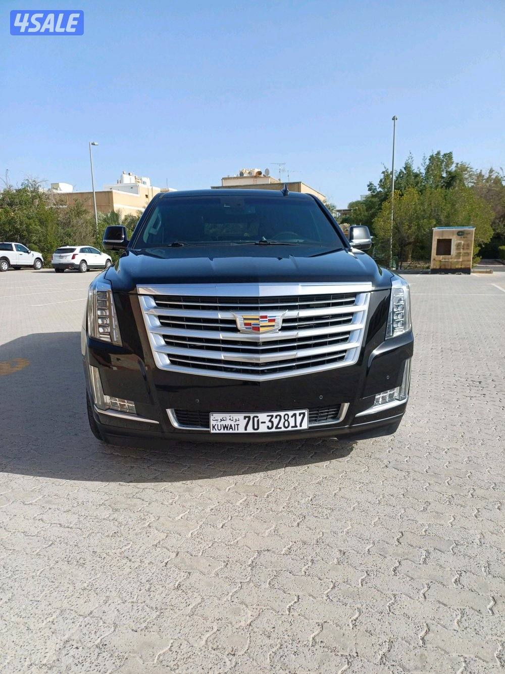 للبيع اسكلد بلاتينيوم1