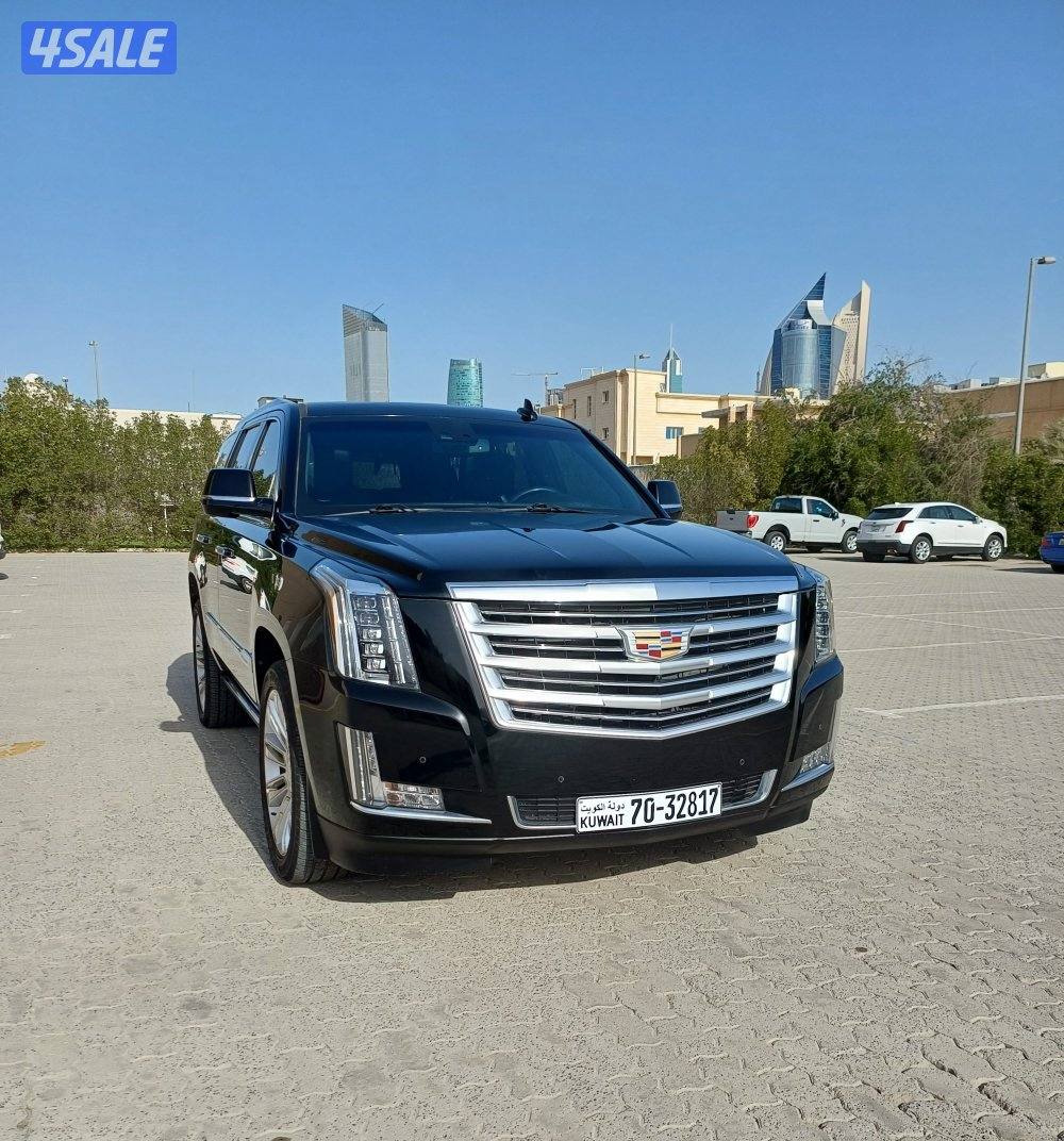 للبيع اسكلد بلاتينيوم2