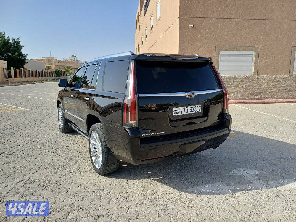 للبيع اسكلد بلاتينيوم6