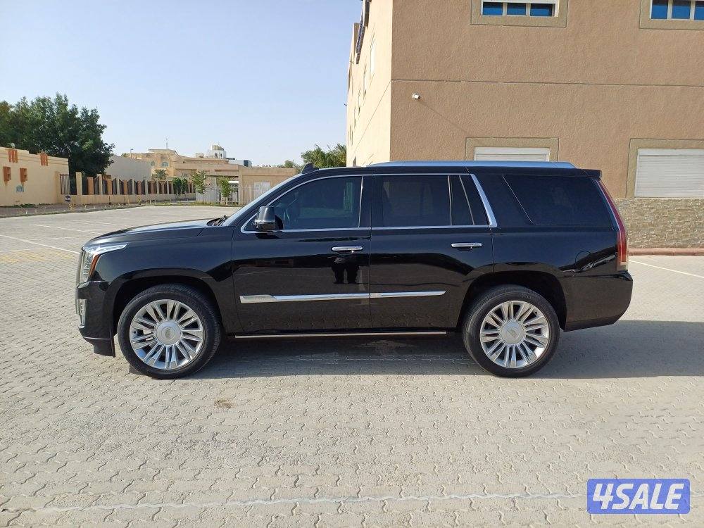 للبيع اسكلد بلاتينيوم5