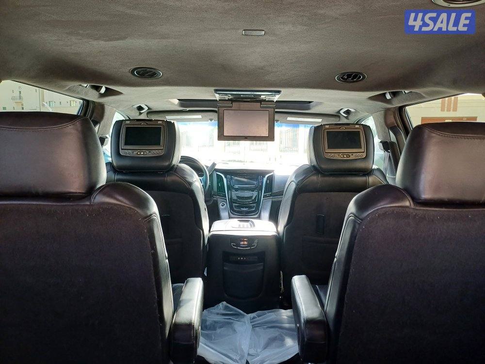 للبيع اسكلد بلاتينيوم10