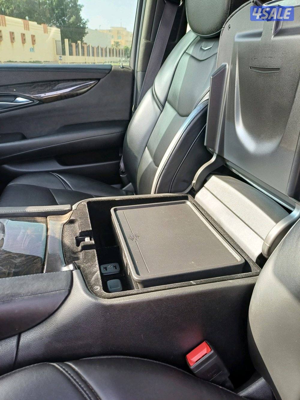 للبيع اسكلد بلاتينيوم12