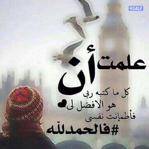 مولد كهربائي لستر بيتر  هواىي 1600 الف0