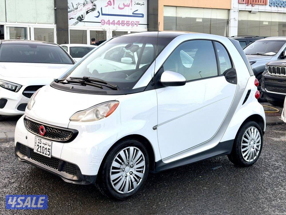 سمارت 2013 وارد المانيا0