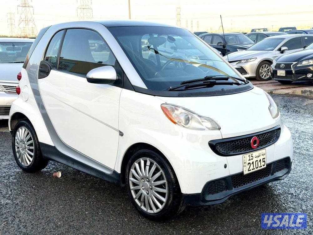 سمارت 2013 وارد المانيا3