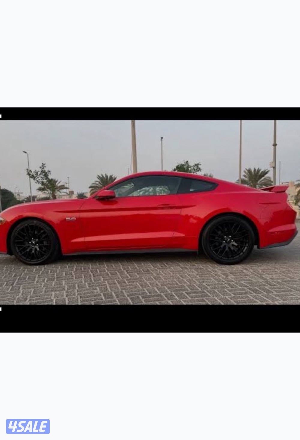 قزوز موستنق وكاله اكس بايب ودبات  ٢٠٢٣ كتاوت وكاله خمس نعمان2