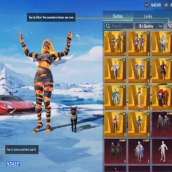 حساب ببجي للبيع3