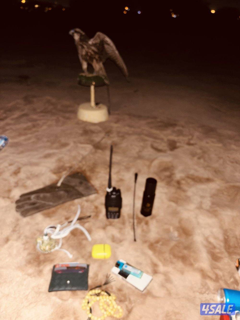 طير وكري قرناس راكد على التكايه1