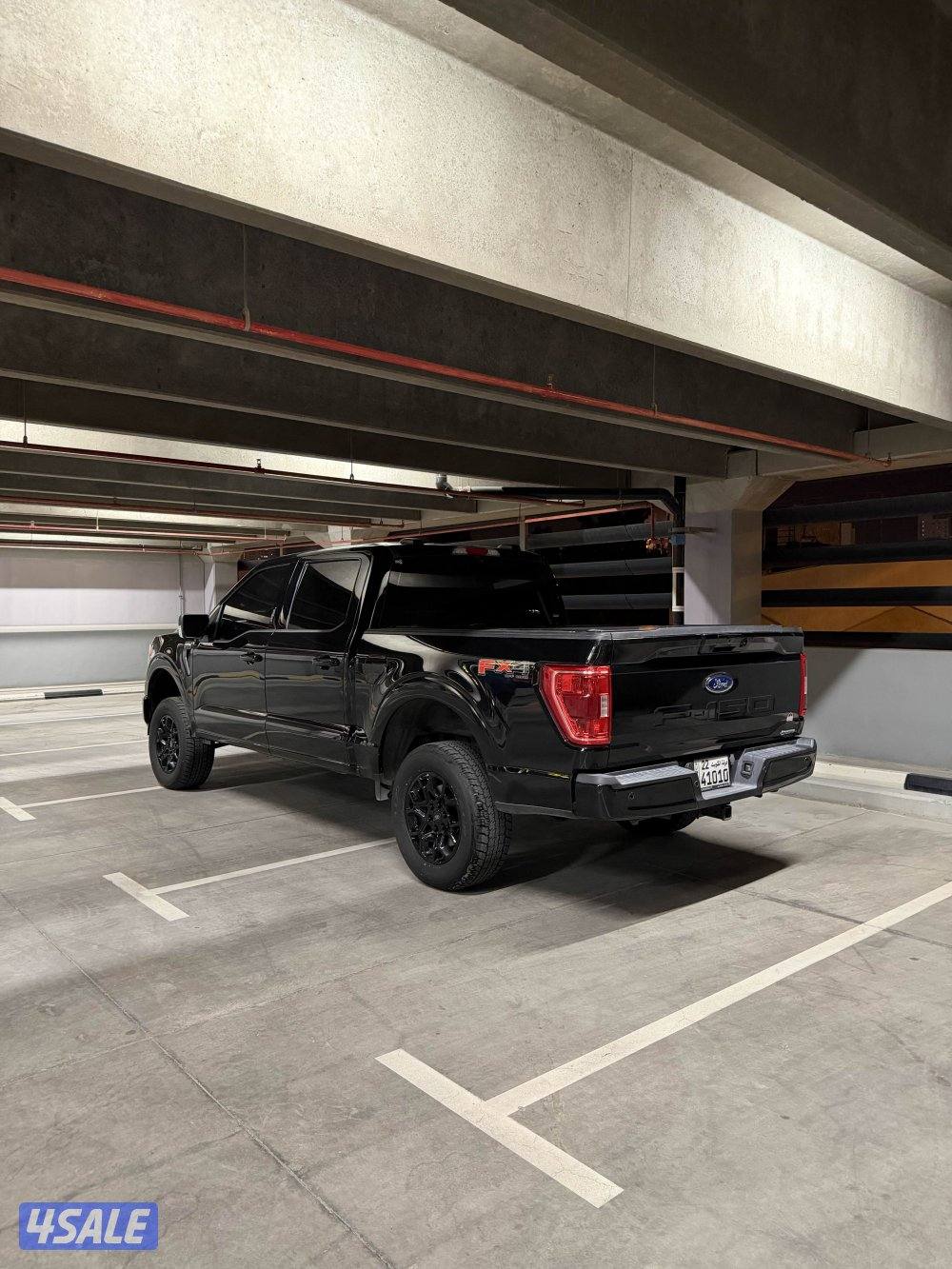 وانيت فورد (F-150( FX42