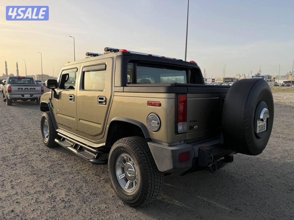 وانيت همر الغانم صبغ وكالة 20053