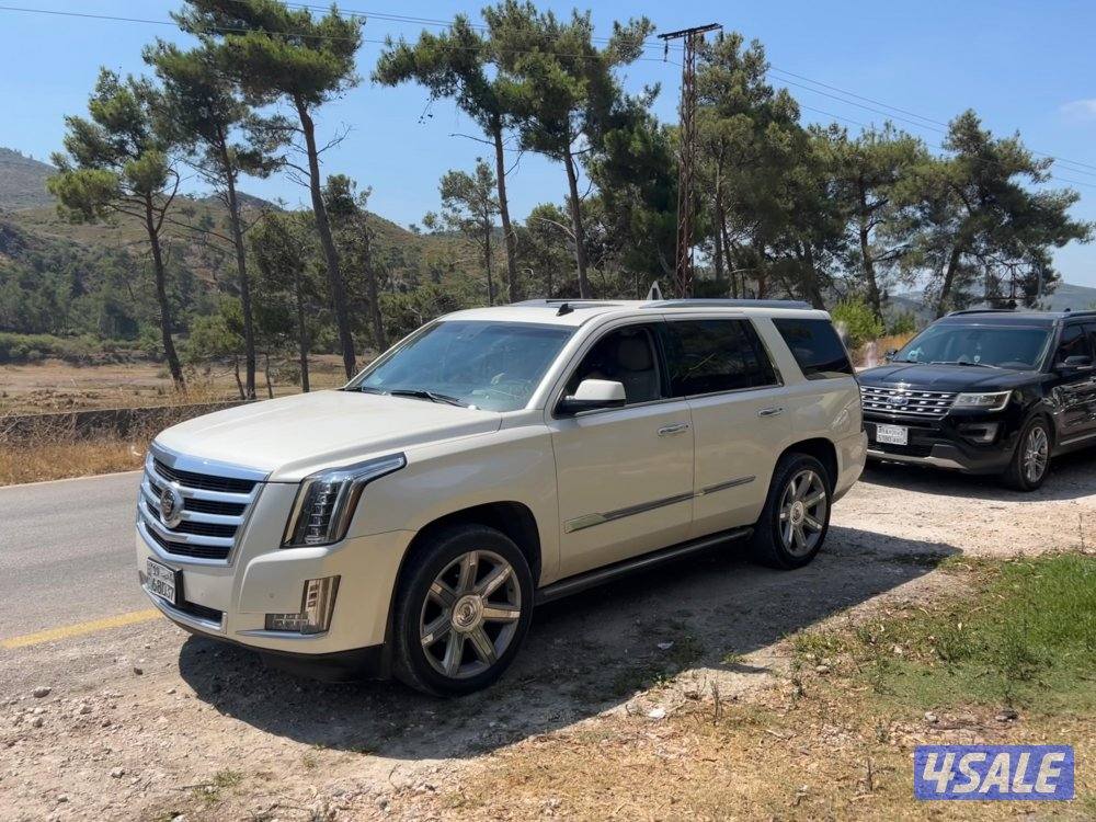 للبيع اسكاليد0