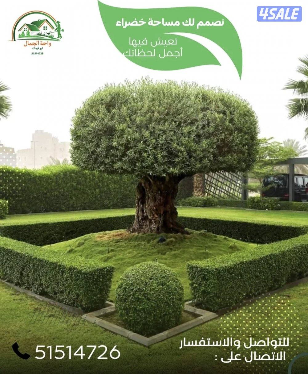 Garden landscaping تنسيق حدائق زراعه الأشجار والورود تجهيزات رمضان زرا3