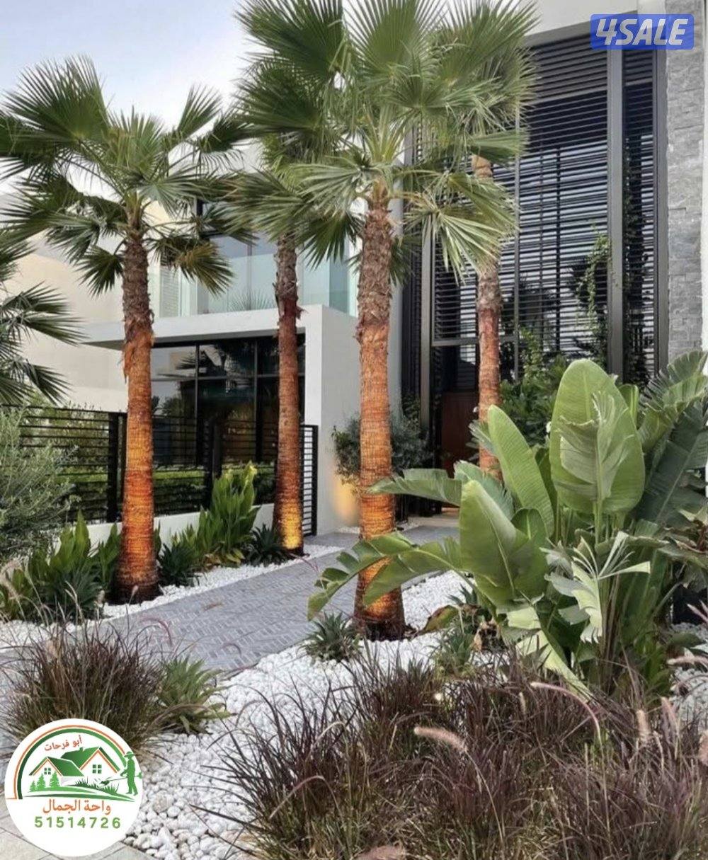 Garden landscaping تنسيق حدائق زراعه الأشجار والورود تجهيزات رمضان زرا7