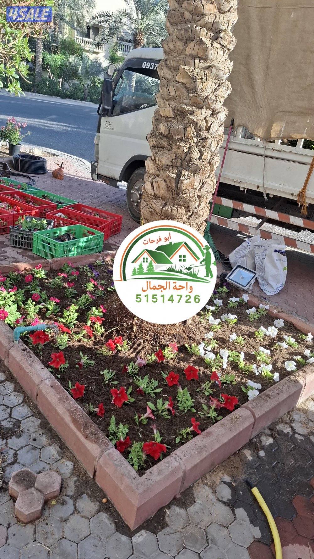 Garden landscaping تنسيق حدائق زراعه الأشجار والورود تجهيزات رمضان زرا8