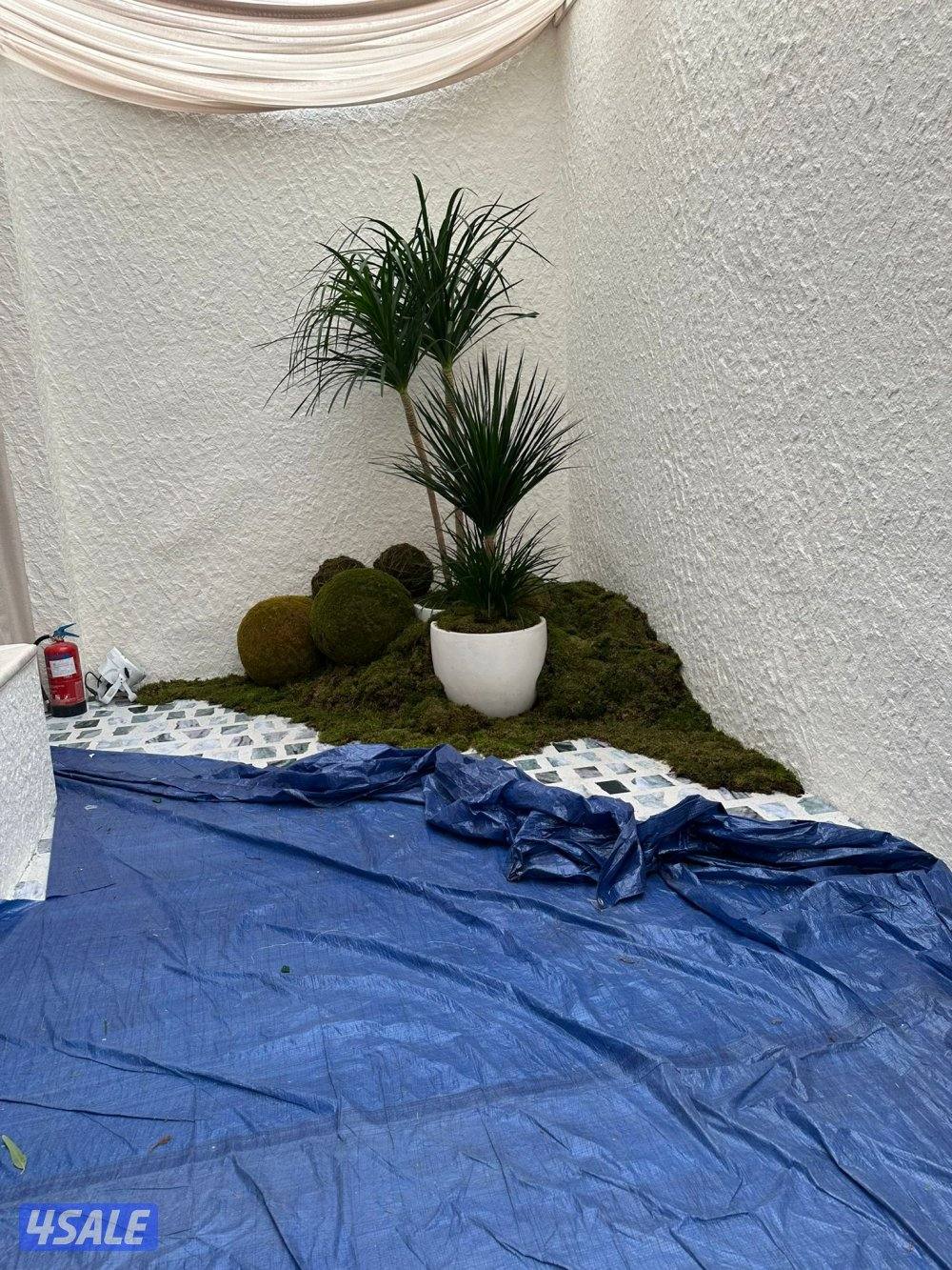 Garden landscaping تنسيق حدائق زراعه الأشجار والورود تجهيزات رمضان زرا10