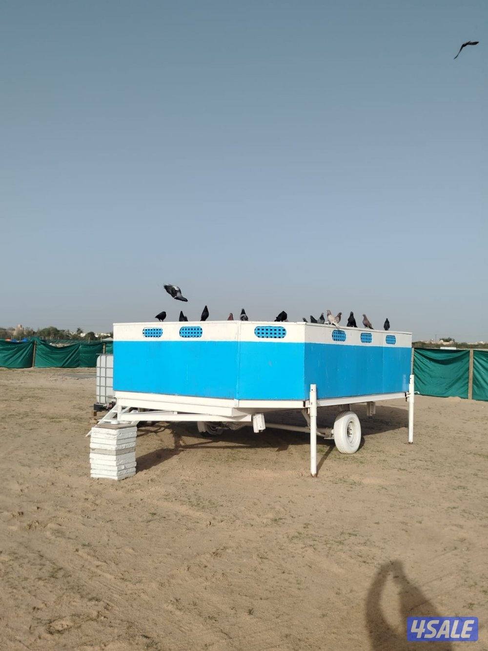 للبيع عزبة كاملة0