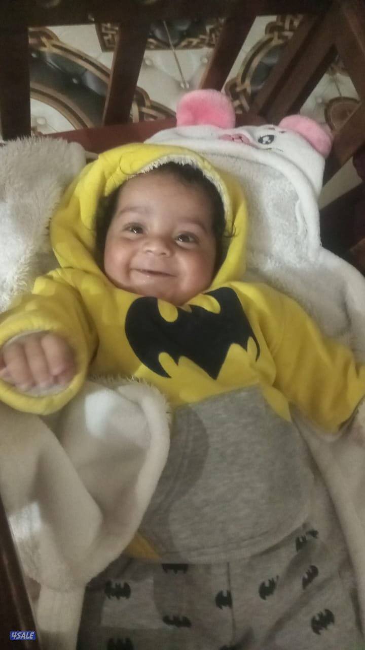 تدريس التربية الإسلامية تحفيظ القران الكريم بالاحكام والتجويد0