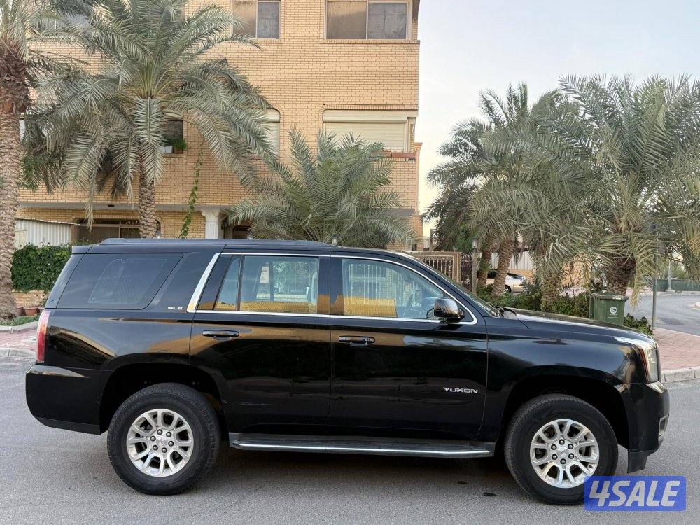 2017 دبل صبغ وكالة5