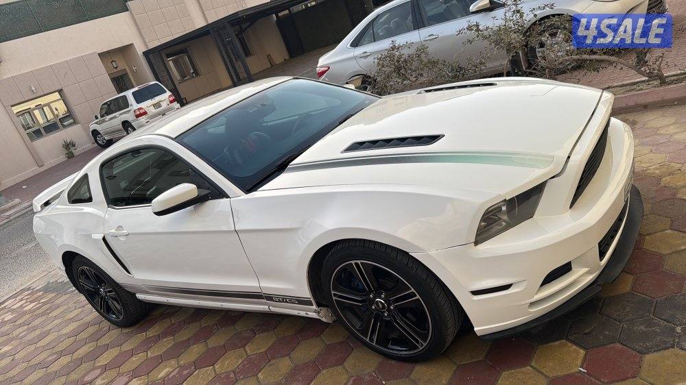 موستانج ٢٠١٣1