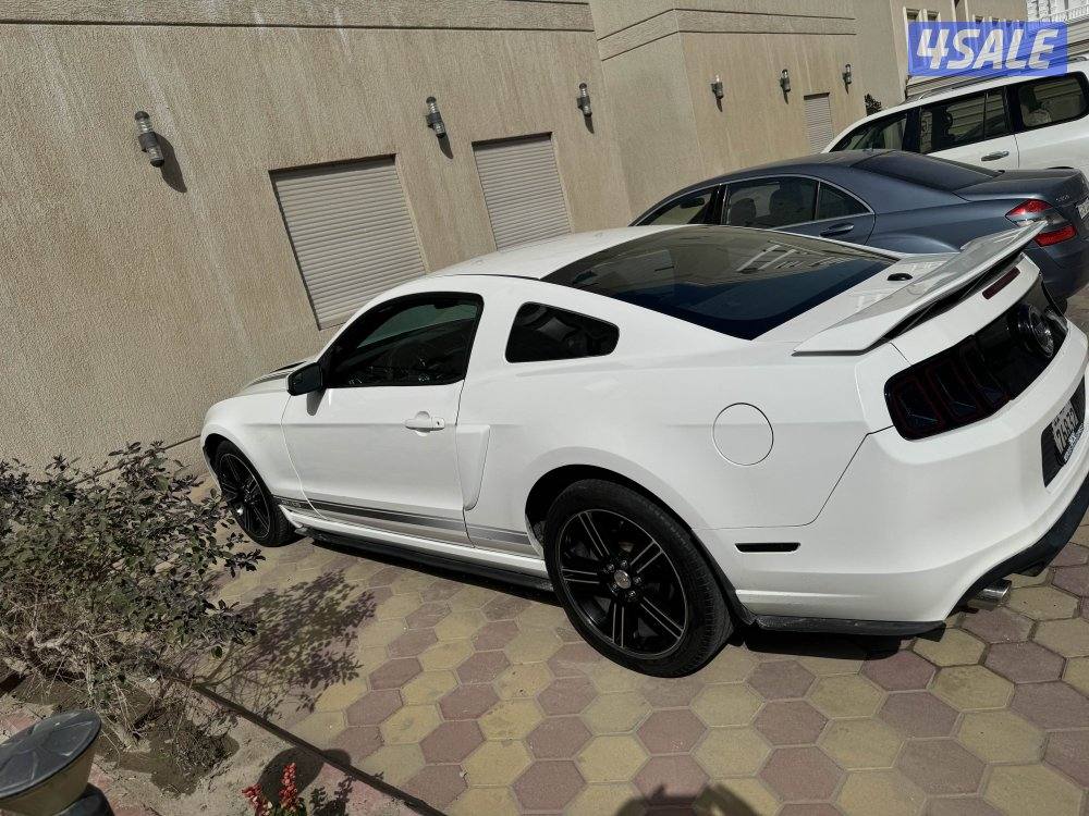 موستانج ٢٠١٣3