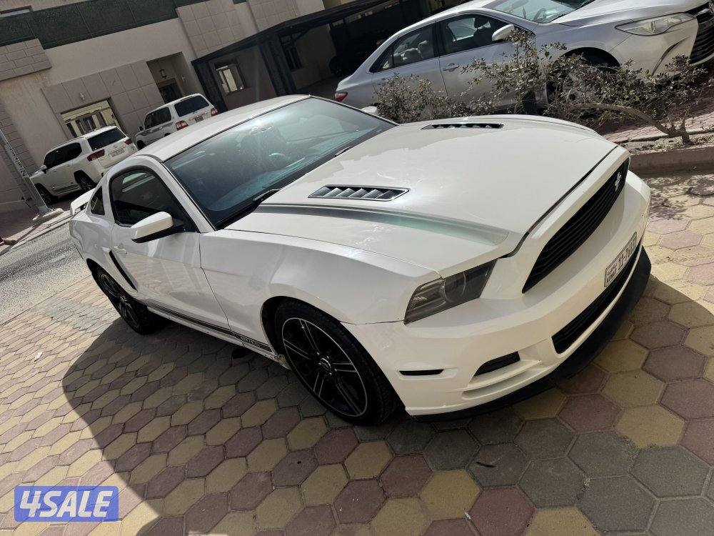 موستانج ٢٠١٣6