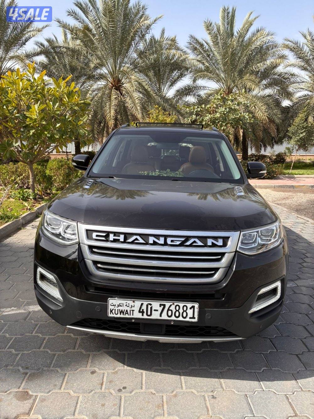 شانجان موذيل 2019 صبغ وكالة عدا قطعة 1 للتجميل اعلي فيئة بانوراما2