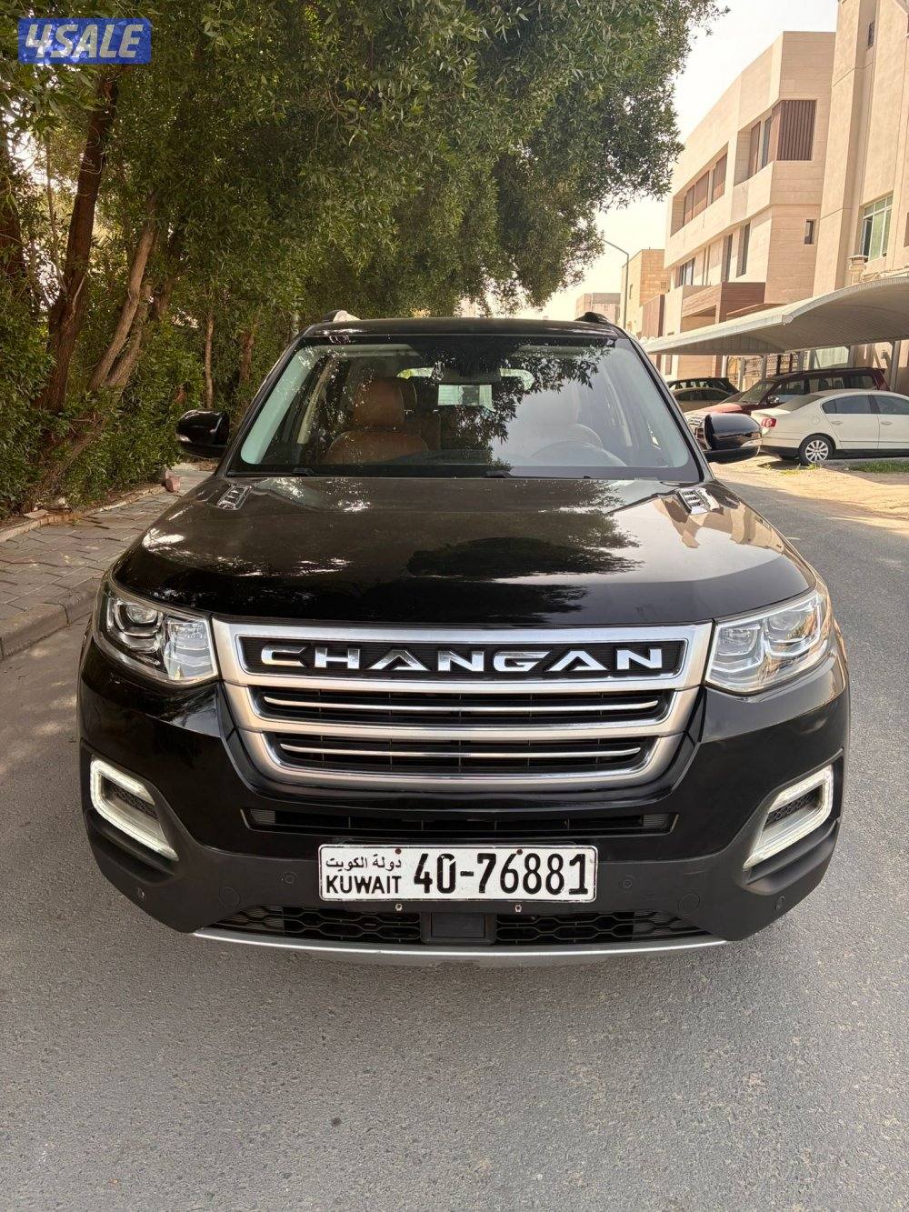 شانجان موذيل 2019 صبغ وكالة عدا قطعة 1 للتجميل اعلي فيئة بانوراما4