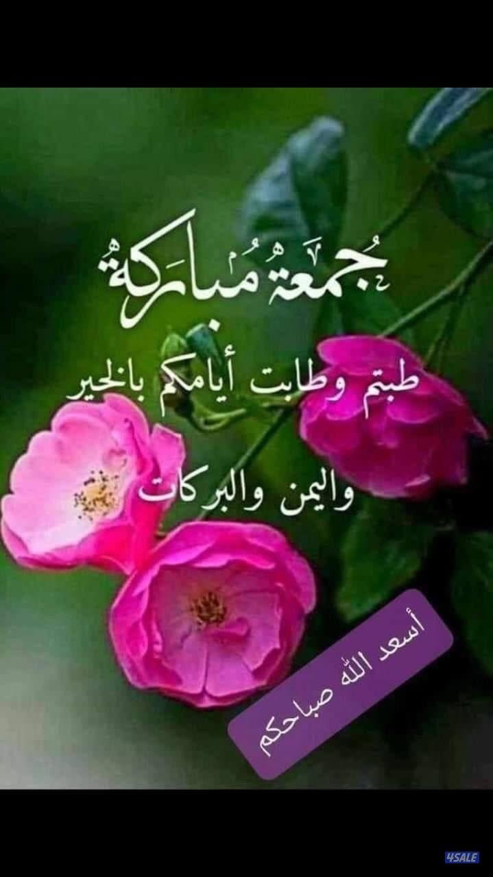 مدرس اول لغه انجليزيه2