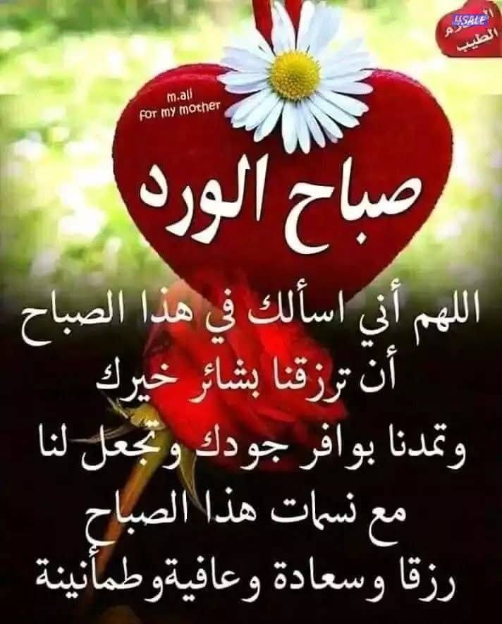 مدرس اول لغه انجليزيه3