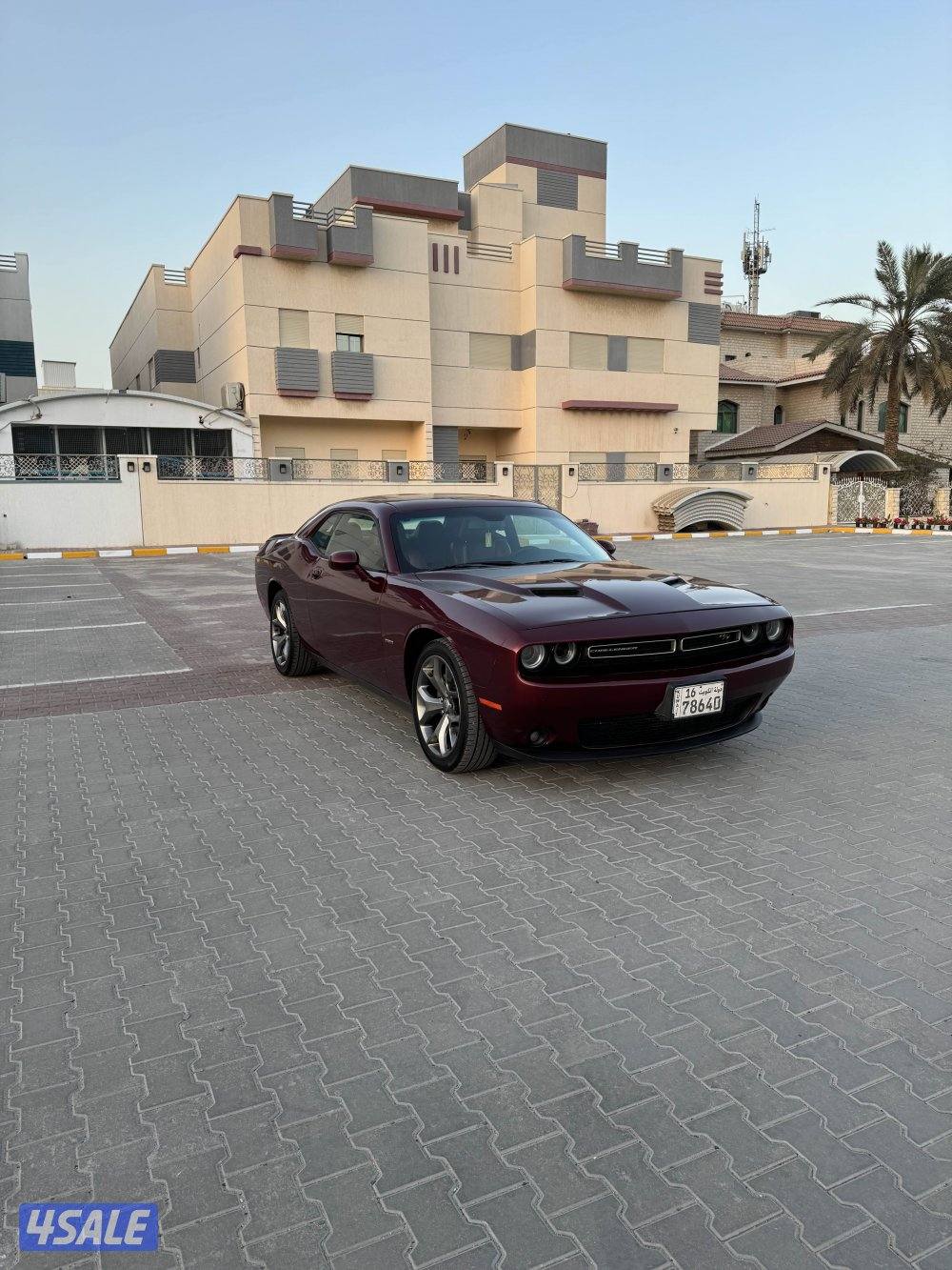 الفل RT هيمي1