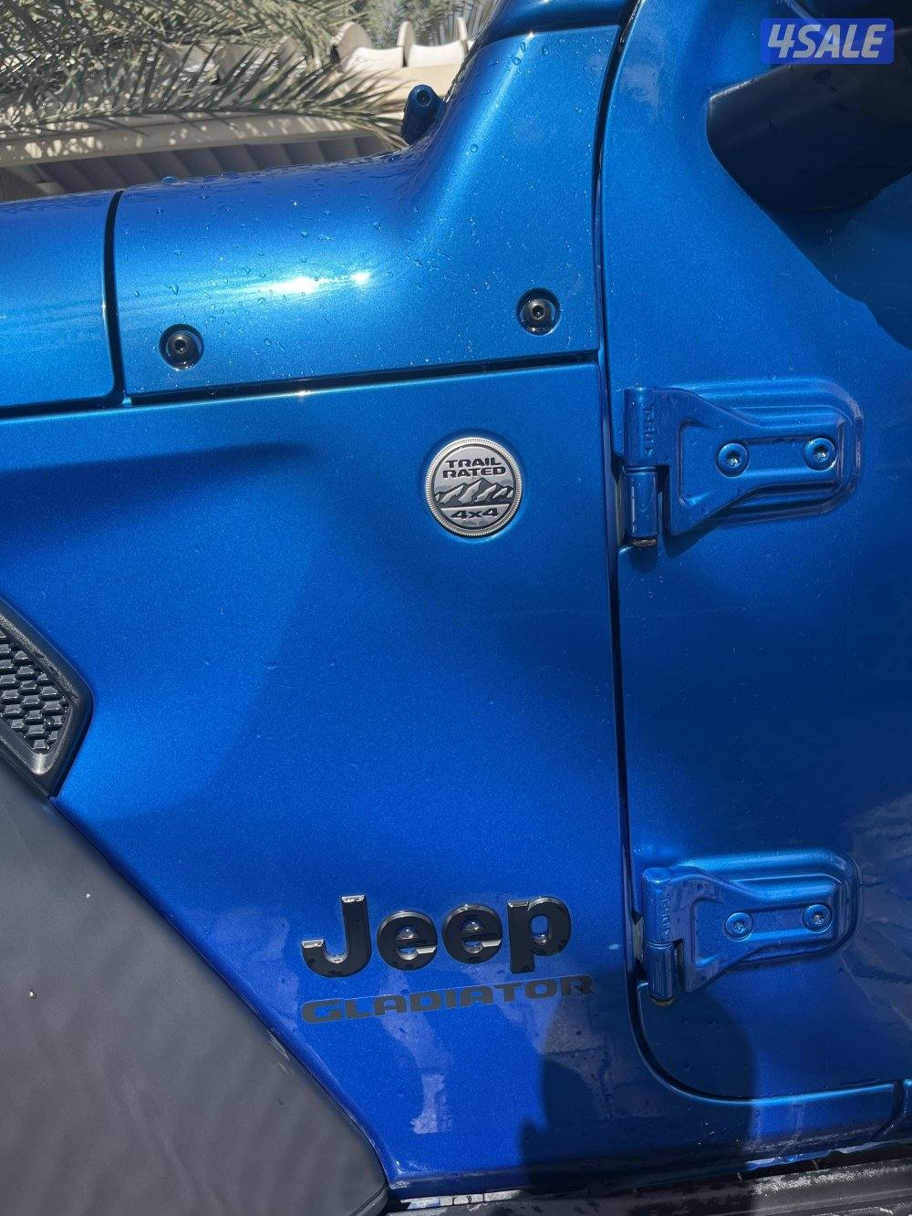 جلاديتور تحت الكفالة٢٠٢١5