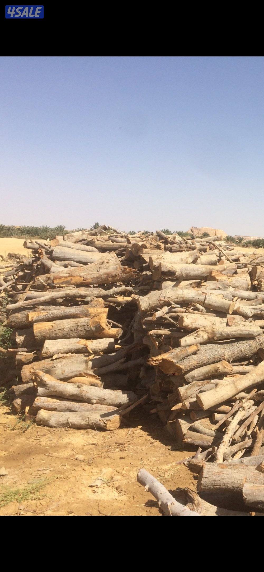 حطب شب زيتون ممتاز مشروووط ناشف جروم وخياس مقصص شلايخ الخيشة ١٠ كيلو5