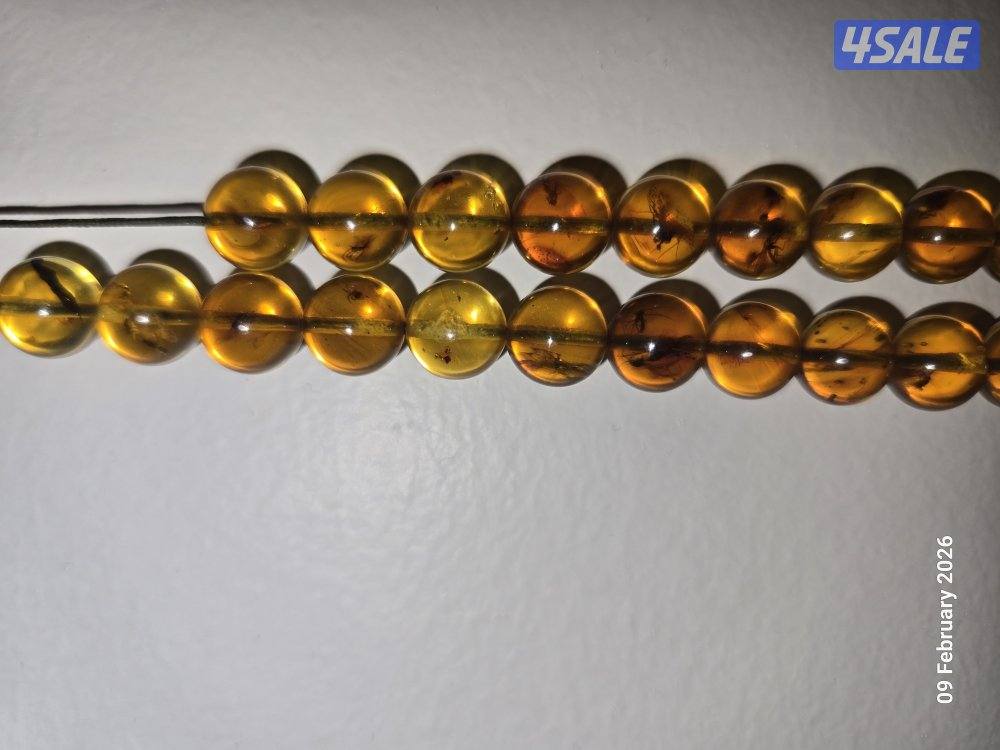 مسباح كهرب حشري كامل من النوادر4