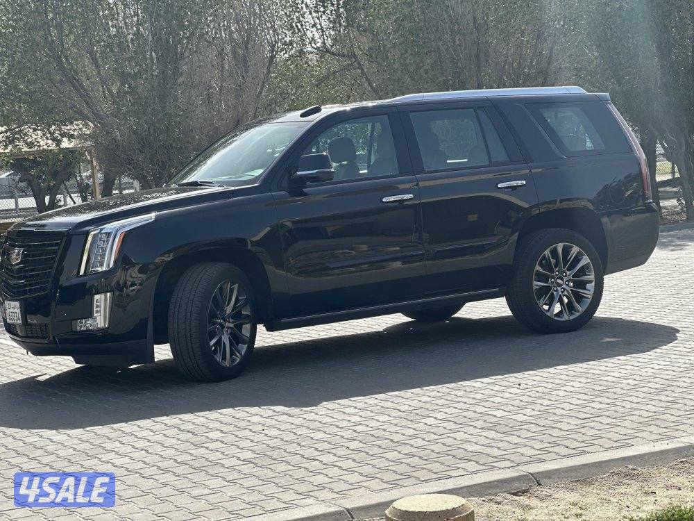 اسكاليد بلاتينيوم الغانم 2020 عداد 64 الف كيلو2