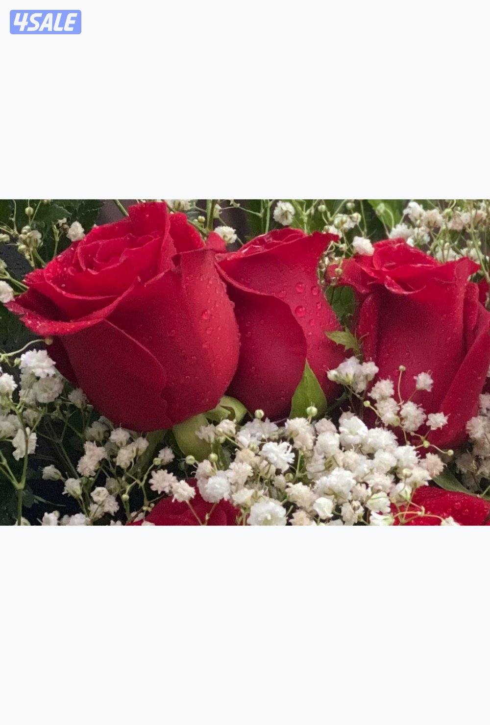 مهندس سوري ابحث عن عمل خارج مجالي مافي مشكلة يوجد ليسن و سيارة0