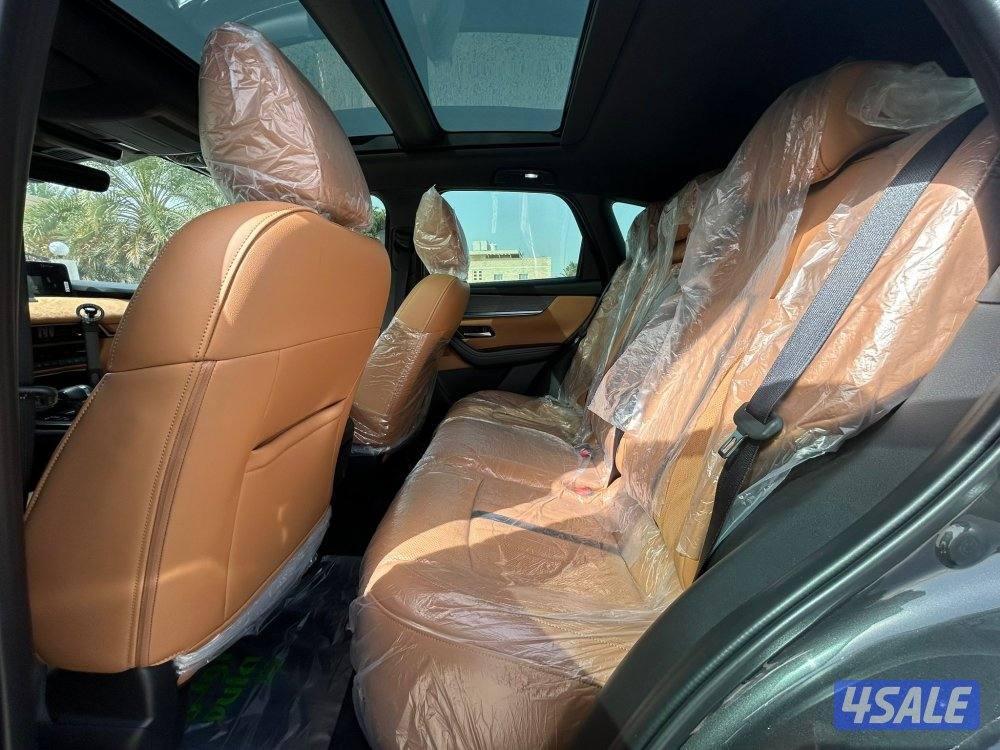 شبه اصفار
CX-60 ٦سلندر12