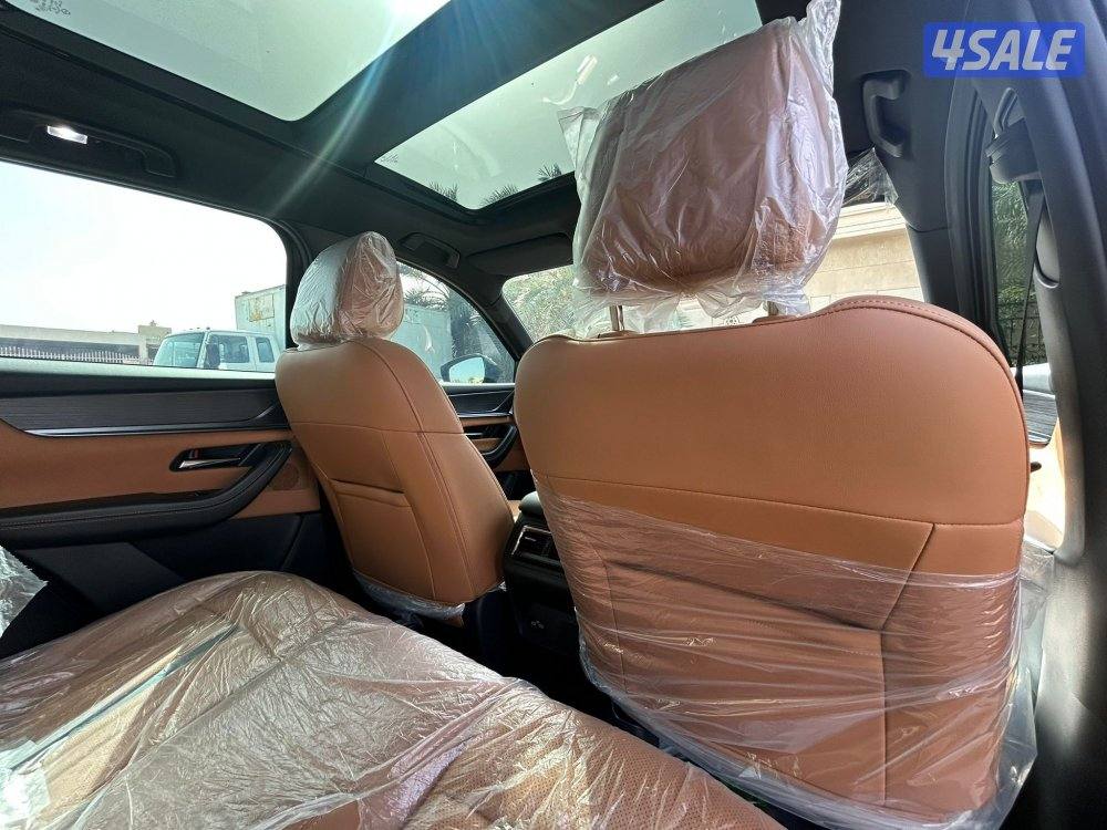 شبه اصفار
CX-60 ٦سلندر13