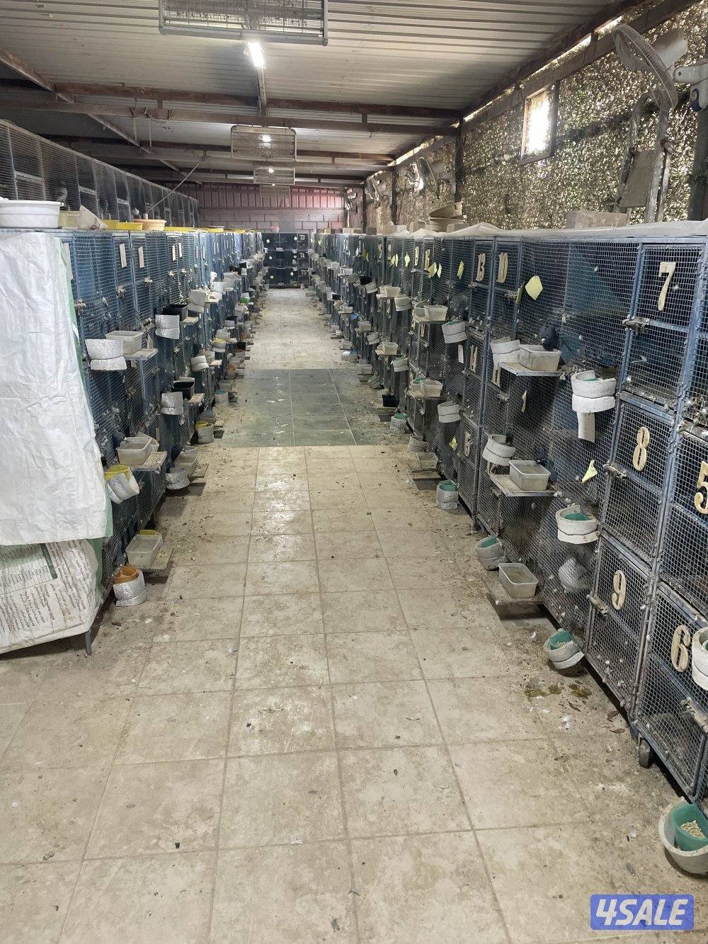 جواخير الوفرة1