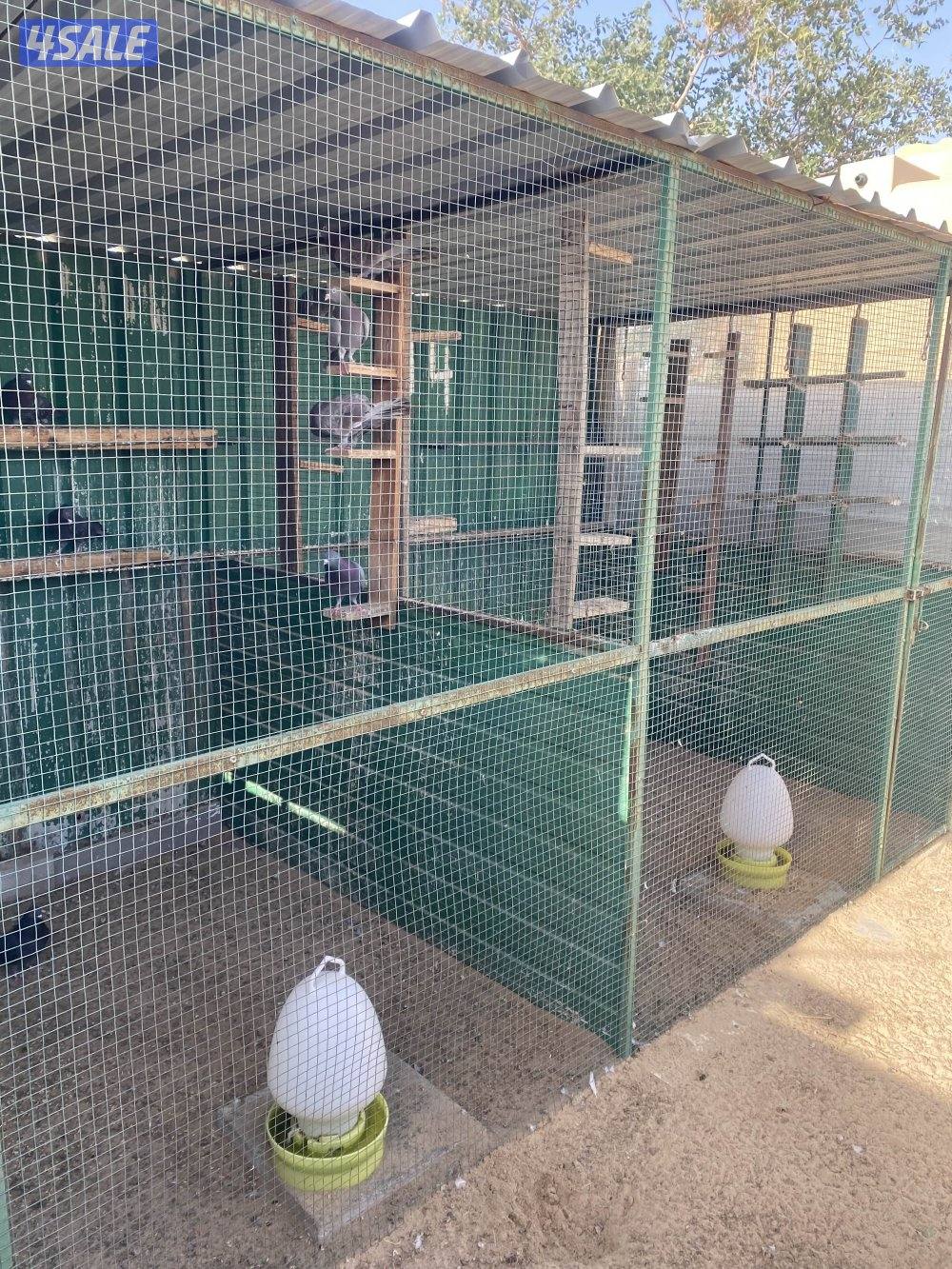 للبيع جبره اربع متر بابين  ارتفاع مترين0