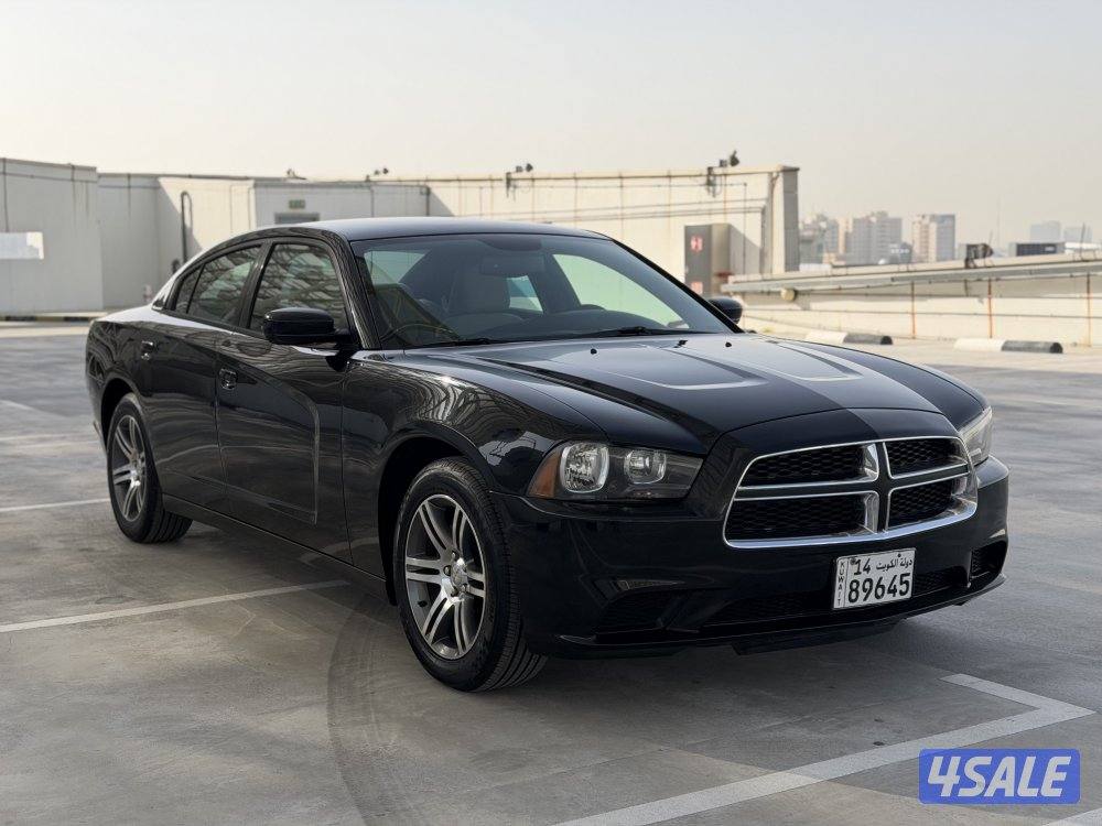 دوج شارجر_موديل2014_عداد 117_شرط الفحص6