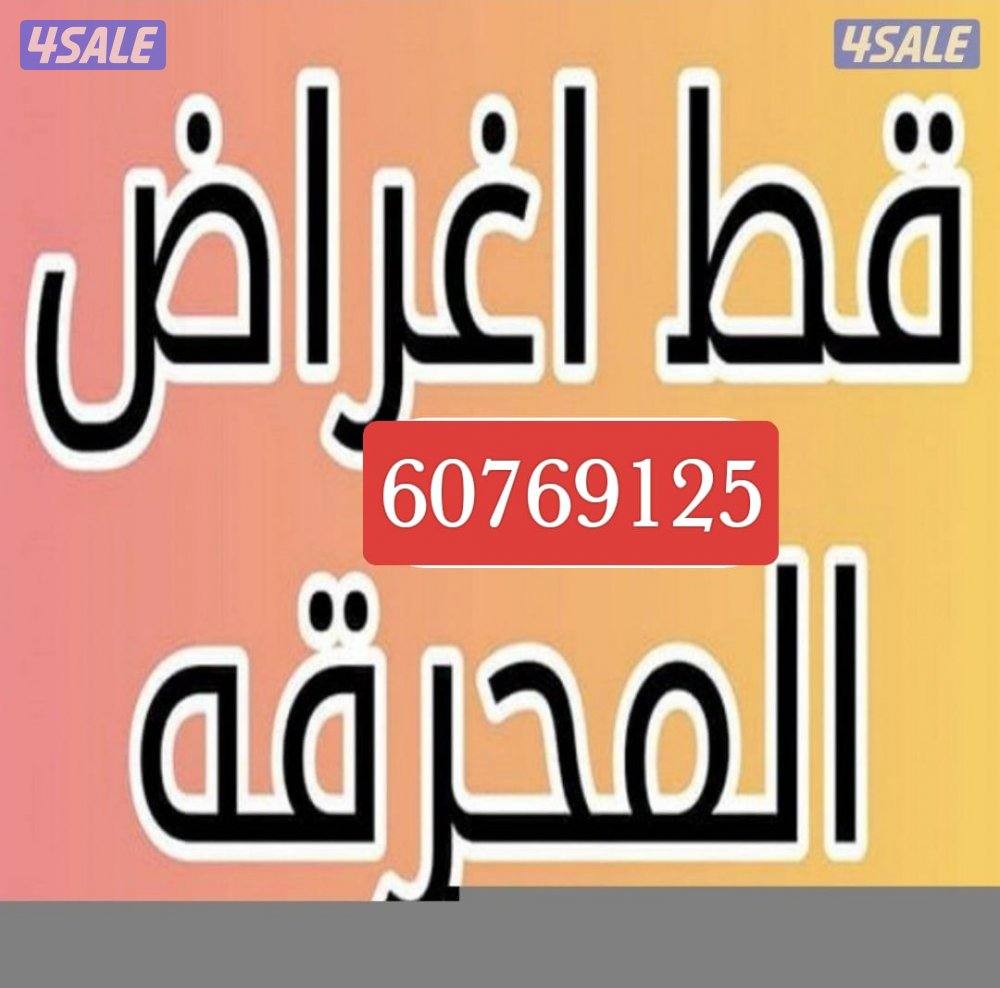 قط@اغراض @قط@اغراض قط@اغراض @قط@اغراض قط@اغراض قط@اغراض0