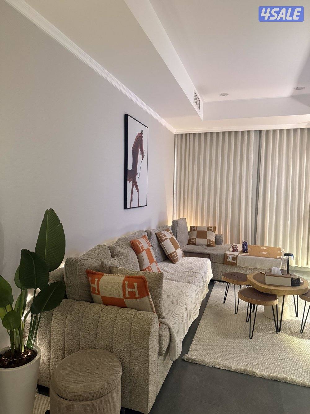 شقه خلو بنيد القار2