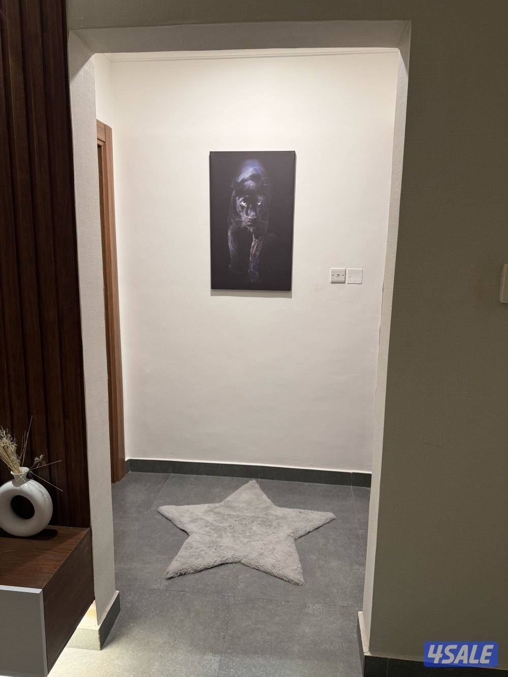 شقه خلو بنيد القار7