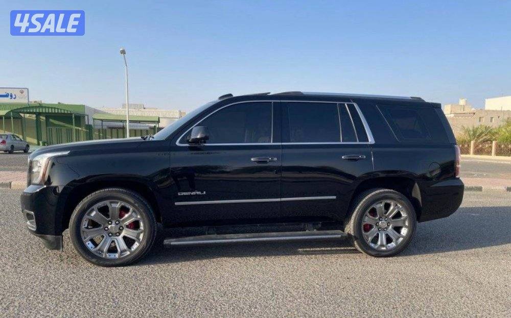 دينالي 2016 صبغ وكاله2