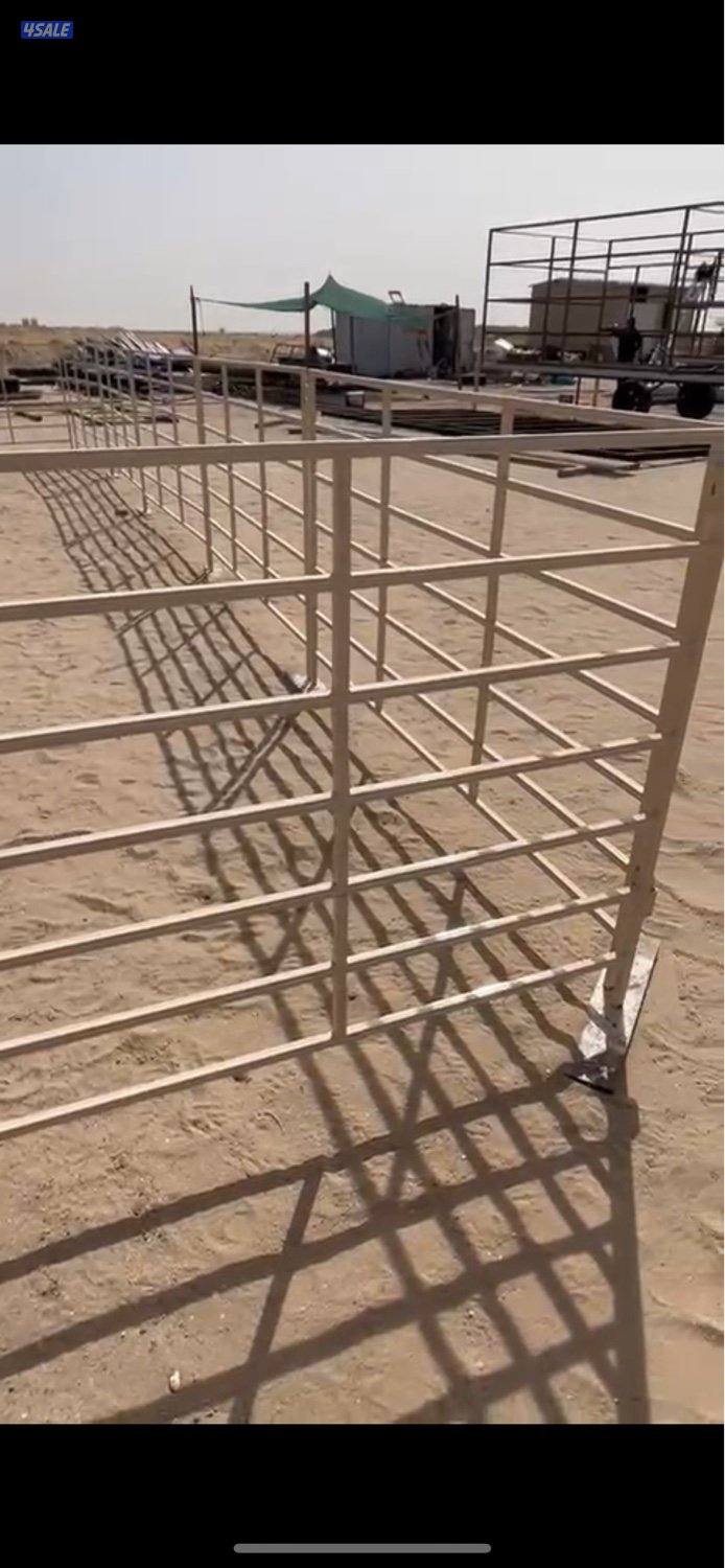 شبوك جديده1